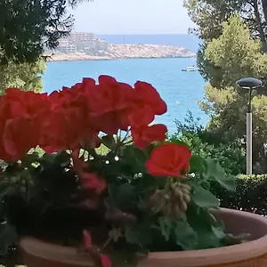 & Flowers Free Parking Appartement